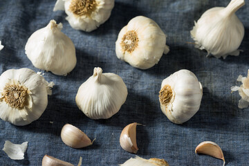 Raw Organic White Garlic