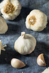 Raw Organic White Garlic