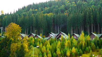 Houses near autumn forest. Wooden house in autumn forest