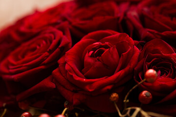 bouquet of beautiful red roses in close-up