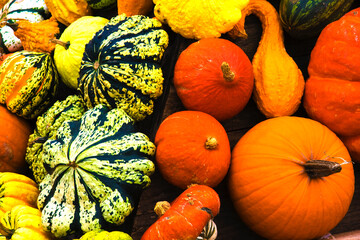 Pumpkins