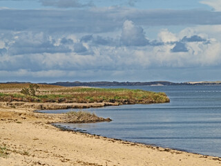 White Cliff At Braderup, Schleswig Holstein, Germany