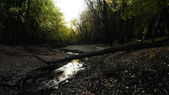 Woods creek drone flight