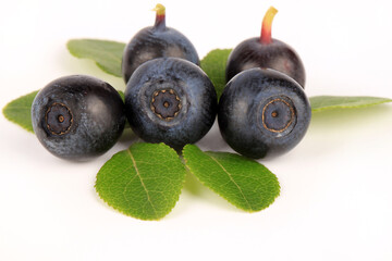 A Macro View Of A Blueberry Fruits