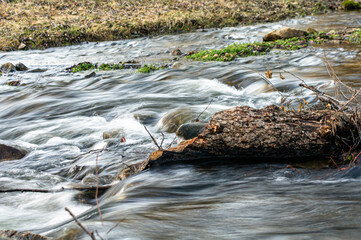 nature in  Bulgaria in winter