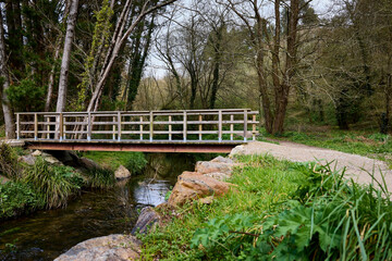 Fototapeta na wymiar Small bridge over a river in a lush forest