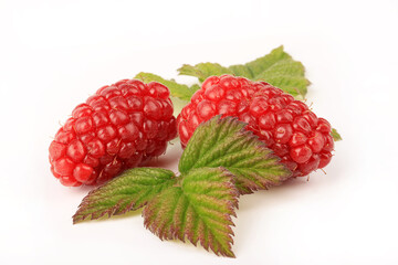 Two Ripe Whole Tayberries With Leaves, Isolated On White Background