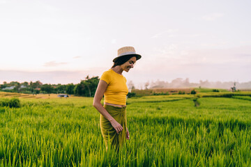 Crop female tourist enjoying view of farmland