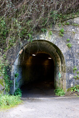 Small tunnel with a path in a lush forest