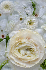 Beautiful white flowers background. Background for wedding scene and decoration .
