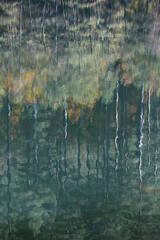 reflejo en el agua de árboles en el estanque lago rio pantano impresionismo movimiento otoño ...