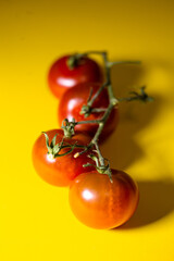  a branch of red tomatoes on a yellow background