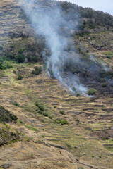 Fototapeta na wymiar Fire Madeira