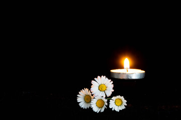 candela accesa e quattro margherite bianche su sfondo nero con spazio per scrivere, adatto per...