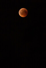 Lunar eclipse in the black night sky