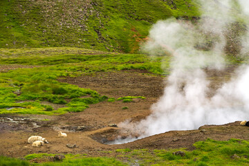 Reykjadalur hot spring hike, Iceland