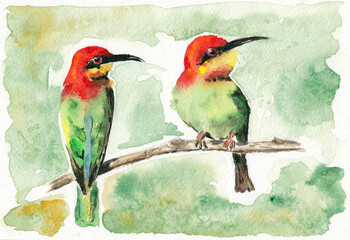 Couple birds bee eaters seating on the branch closeup artwork portrait. China ink and watercolor hand drawn on watercolour paper texture