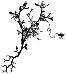 Spider web tree symbol silhouette stencil black, vector illustration, horizontal, isolated