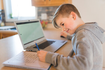 Teenager boy doing his homework at desk indoors