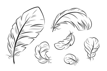 A set of feathers of different shapes in the style of hand drawing. Vector isolated on a white background.