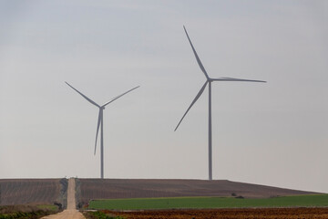 wind turbine in the field