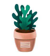 Grunge hand drawn pencil chalk illustrations with plant. Green house plants illustration. Plant pot.