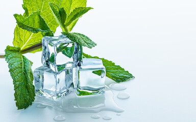 Melting Ice cubes with fresh mint leaves and water drops on a table. Clear ice in cube shape....