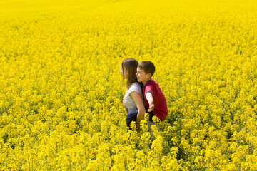 Fototapeta premium Pretty teenager girl with his little brother together enjoy the sunshine in the middle of a yellow flower field.