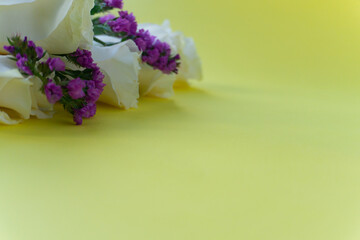 White roses and purple flowers on a yellow background. Spring flowers, side view.