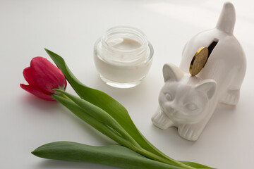 Obraz na płótnie Canvas Closeup of a cat-shaped penny bank and facial moisturiser. Concept of affordable skin care.