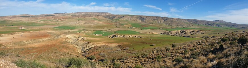 Wonderful view of farmland in spring, Tiaret, Algeria