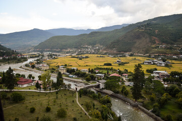 View of the city of Paro, Bhutan from the hills that surround it. There are buildings, vegetation and a river.