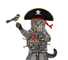 A gray cat in a pirate uniform with a bird is at a helm of a ship. White background. Isolated.