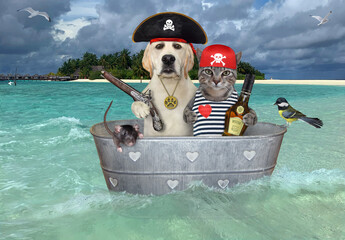 A gray cat with a dog are floating on a pirate washtub ship near a beach of a tropical island.