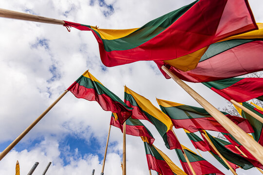 Lithuanian flags waving in a wind 