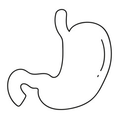 stomach in doodle style  organs human