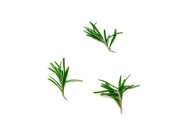Fototapeta premium Twigs of rosemary on a white background, organic raw fresh herbs seasoning