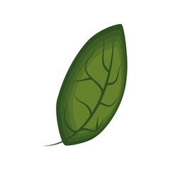green leaf icon