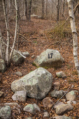 USA, Massachusetts, Cape Ann, Gloucester. Dogtown Commons, house foundation marker 17, ruins of old estate