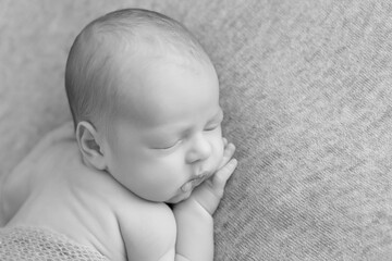 first photo session. newborn child. the child is lying on a blanket. black and white photo