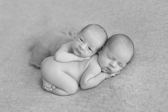 Twins. newborn twin boys. the first photo session of newborns. twin brothers black and white photo