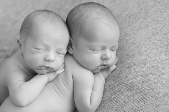 Twins. newborn twin boys. the first photo session of newborns. twin brothers black and white photo