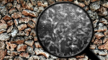 Obraz na płótnie Canvas Searching for bacteria on surface