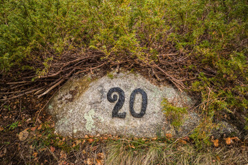 USA, Massachusetts, Cape Ann, Gloucester. Dogtown Commons, house foundation marker 20, ruins of old...