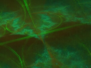 Imaginatory fractal background Image