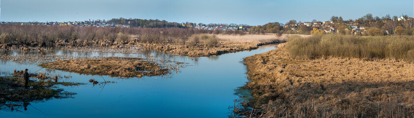 Panoramic view of the stream flowing through the reeds in early spring - in the floodplains in the reserve