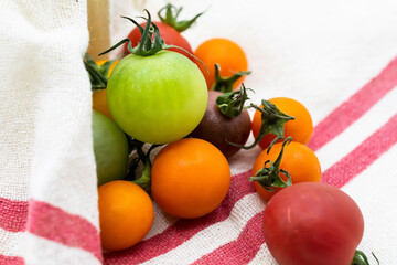 カラフルトマト