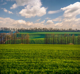 spring landscape of green slopes and hills with trees and clouds on the sky