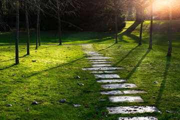 stone path in the park in sun rays