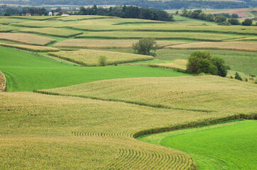Obraz premium USA, Minnesota. Rolling farmlands with patchwork fields of corn.